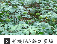 有機JAS認定農場 有機JAS認定農場