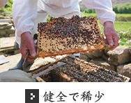 健全で稀少 健全で稀少